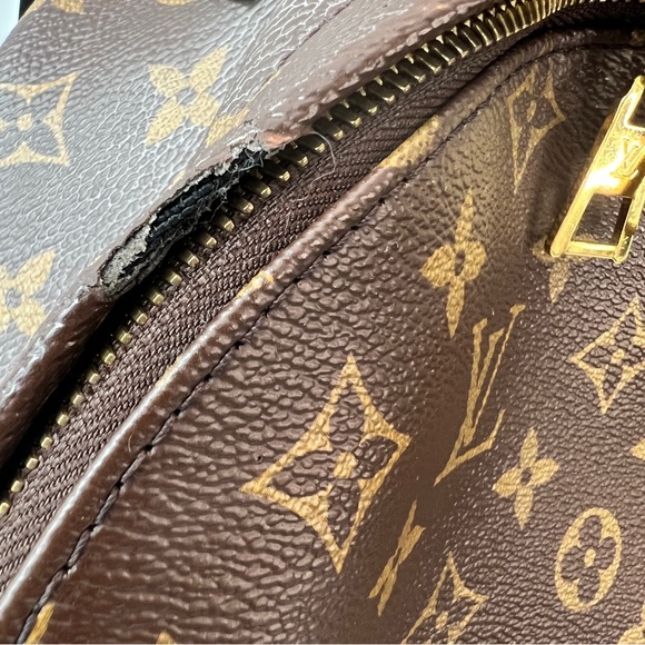 Louis Vuitton Palm Springs MM Monogram Backpack - Picture 5 of 16